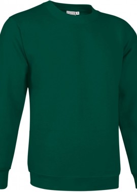 Φούτερ DUBLIN Valento SUVACCAVB Bottle Green