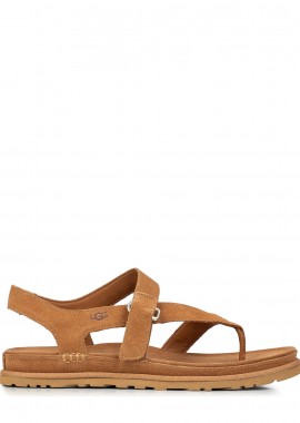 UGG - Πέδιλα-Σανδάλια γυναικεία UGG Ταμπά 1175134-CHE GoldenGaze Toe Post 262
