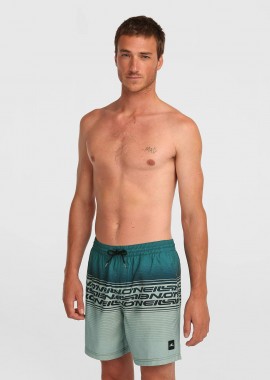 O'NEILL LOGO STRIPE 16'' SWIMSHORTS ΠΡΑΣΙΝΟ