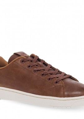 Ανδρικά Sneaker Toms 10020273