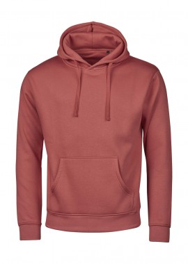 Φούτερ με Κουκούλα Unlabeled 5152 Tee Jays Cranberry
