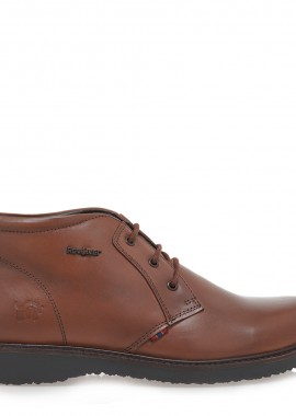 ΜΠΟΤΑΚΙΑ σχέδιο: T503G7971