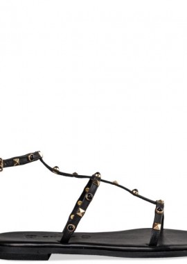 Envie Shoes - FLAT SANDALS