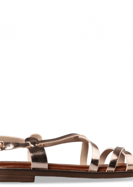 Envie Shoes - FLAT SANDALS