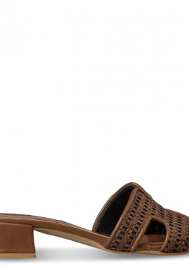 Envie Shoes - LOW-HEEL MULES