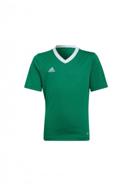 adidas performance - Adidas Παιδικό T-shirt Πράσινο HI2126