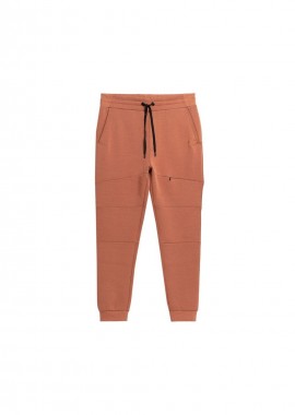 4f - Trousers 4F M 4FSS23TTROM152brown