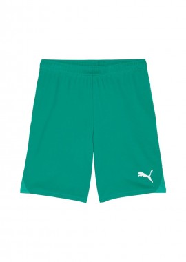 Puma - Puma Team Goal men's shorts green 705752 05