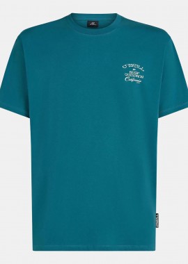 O'NEILL - O'NEILL BEACH CHEST PRINT T-SHIRT ΠΡΑΣΙΝΟ