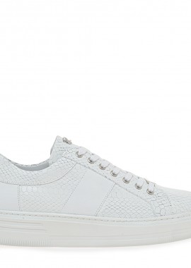 JOHN RICHARDO - SNEAKERS σχέδιο: V549A6422