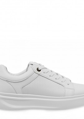 JK LONDON - SNEAKERS σχέδιο: W592A8622